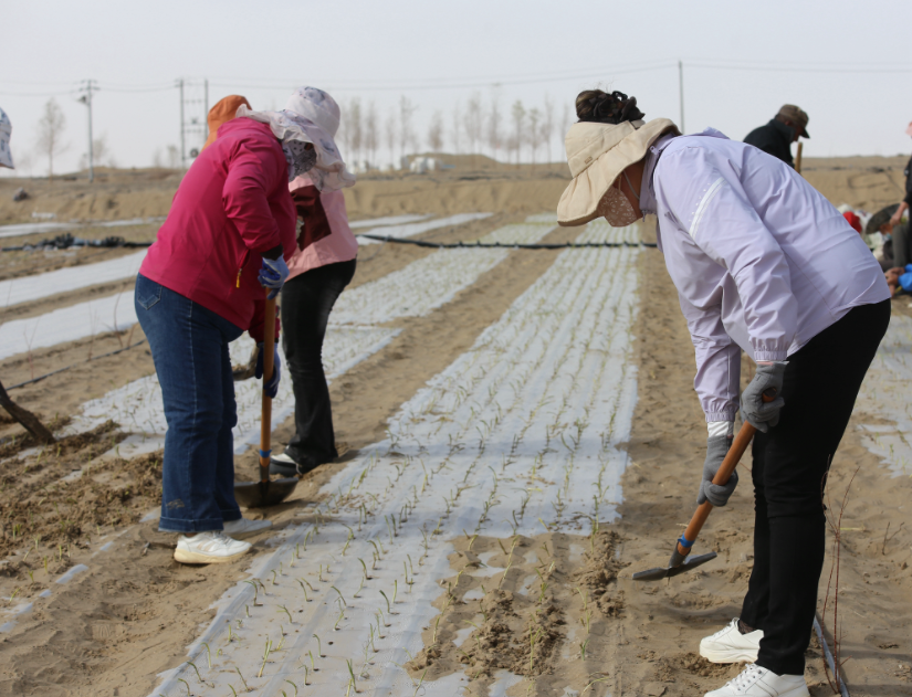 哈萨克斯坦媒体人眼中的中国新疆
