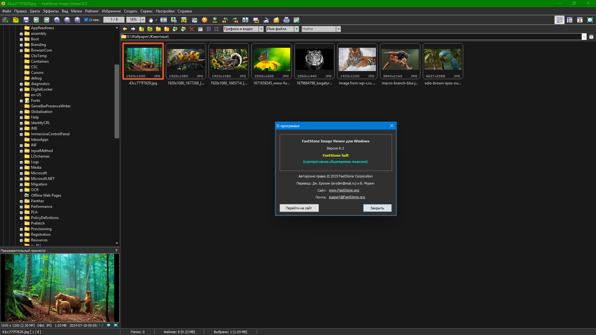 Клик для увеличения
