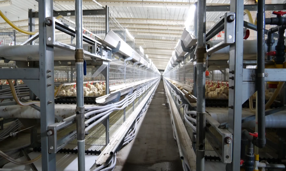 Хоргос: технологические инновации придают импульс, промышленность повышает качество и эффективность.