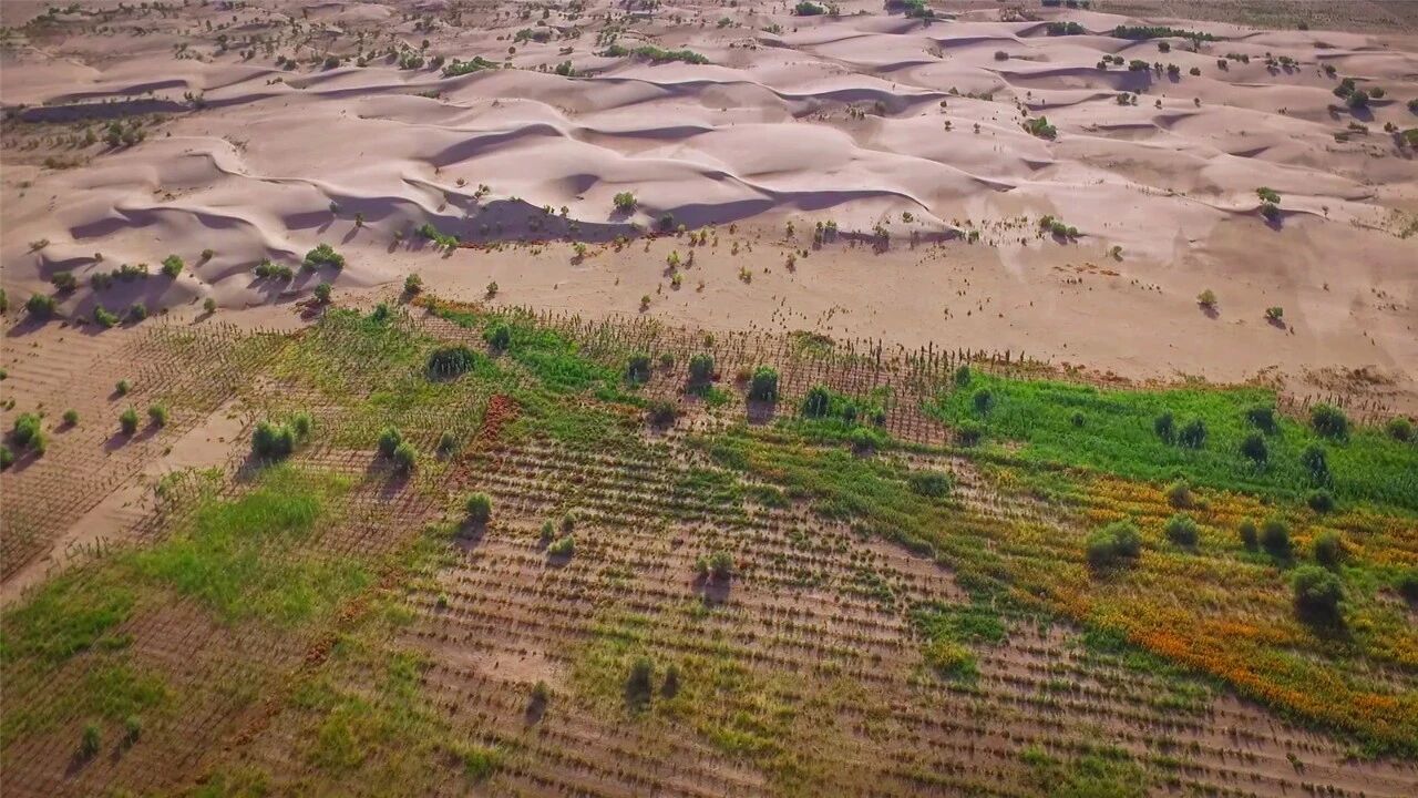 В этом году в округе Кашгар Синьцзяна планируется озеленение почти 33 тыс. гектаров.